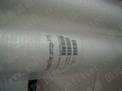 替代MaxGuard大流量過濾芯RFP050-40N ——內壓式系列
